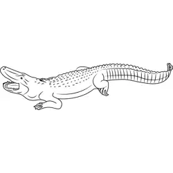 Alligator Open Mouth Free Coloring Page for Kids