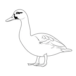 Duck Free Coloring Page for Kids