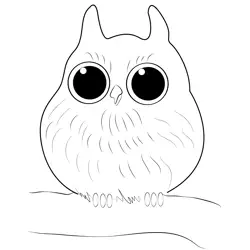 Cute Owl