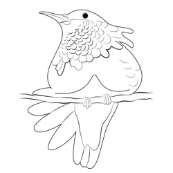 Hummingbird Wine Free Coloring Page for Kids