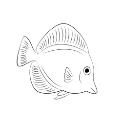 Lemonpeel Angelfish Free Coloring Page for Kids