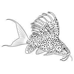 Featherfin Catfish