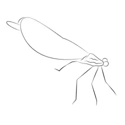 Black Damselfly Free Coloring Page for Kids
