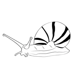 Big Snail 1