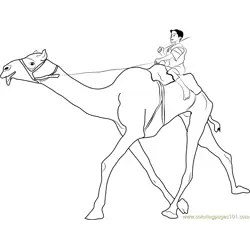 Boy Sitting on Camel