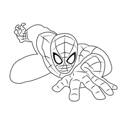 Spiderman The Superhero