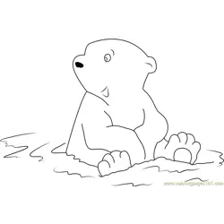 Little Polar Bear Sitting in Water