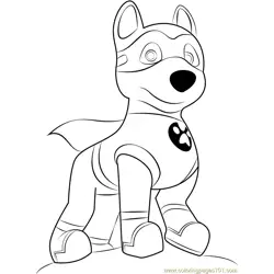Apollo the Super Pup