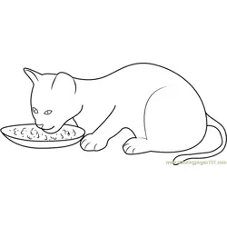 Kitten Eating her Food Free Coloring Page for Kids