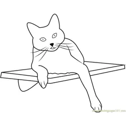 Square Cat Habitat Free Coloring Page for Kids