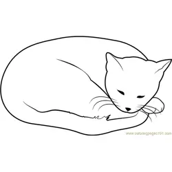 Sweet Dreams Cat Free Coloring Page for Kids