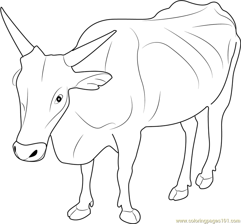 dancing cows coloring pages - photo #8
