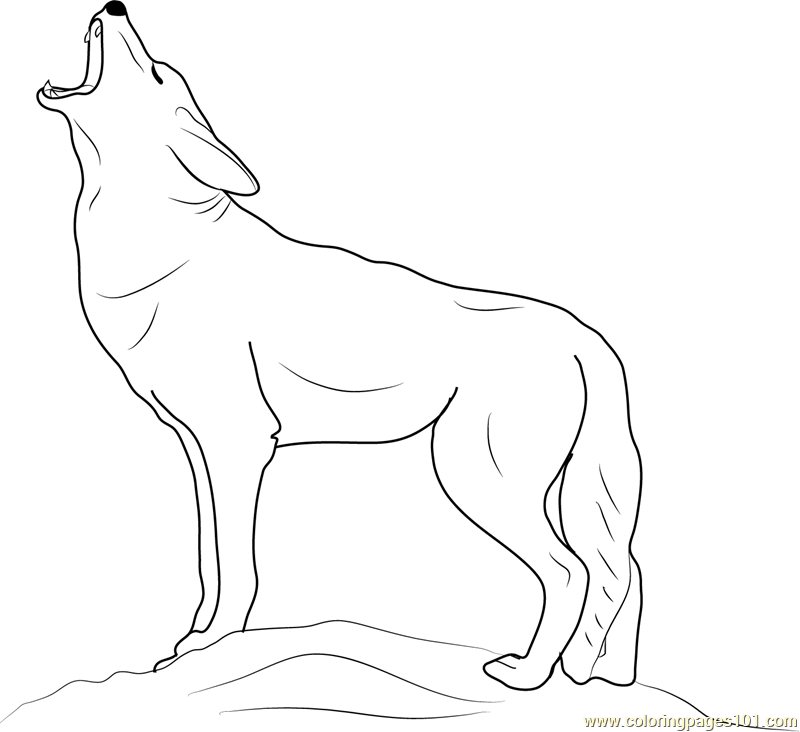 coyote-howling-coloring-page-free-coyote-coloring-pages