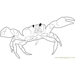 Crab on Beach