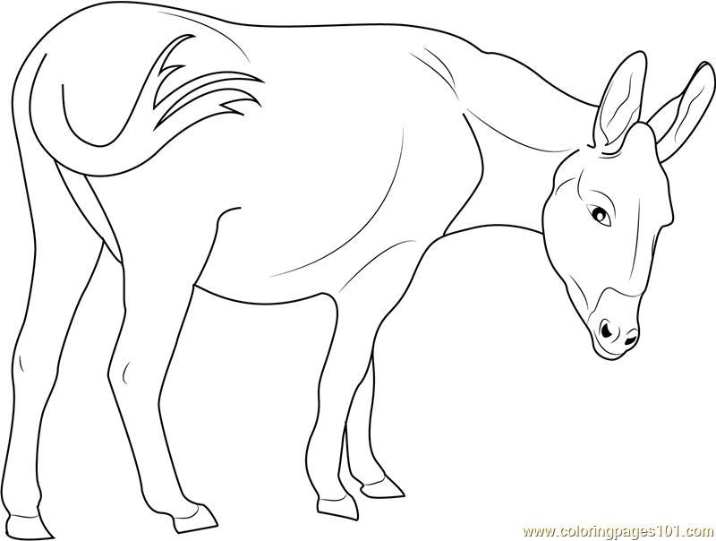 cotentin donkey coloring page  free donkey coloring pages