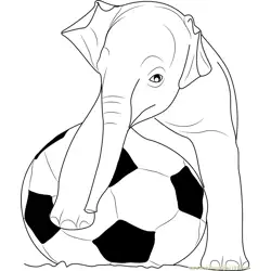Playing Football Elephants