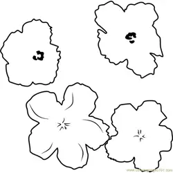 Flowers by Andy Warhol Free Coloring Page for Kids
