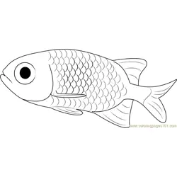 Small Fish Free Coloring Page for Kids
