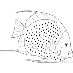 White Fish Free Coloring Page for Kids