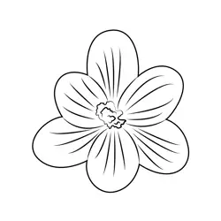 Single Crocus Free Coloring Page for Kids