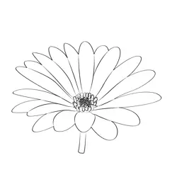 Pretty Daisy Free Coloring Page for Kids