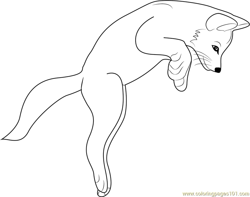 Fox Jumping Coloring Page - Free Fox Coloring Pages : ColoringPages101.com