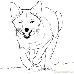 Fox Running Free Coloring Page for Kids