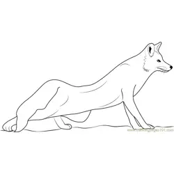 The Red Fox Free Coloring Page for Kids