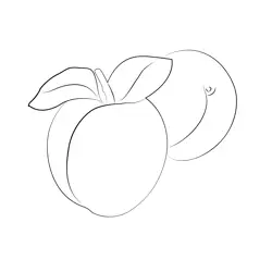 Apricot Free Free Coloring Page for Kids