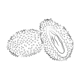 Durian Chanee Free Coloring Page for Kids