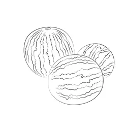 Spiced Baby Watermelons Free Coloring Page for Kids