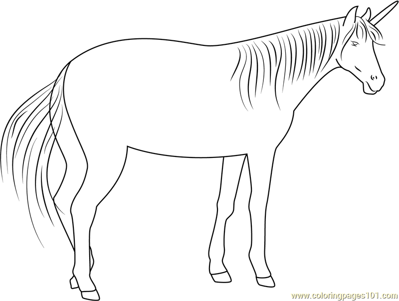 The Unicorn Coloring Page - Free Unicorn Coloring Pages