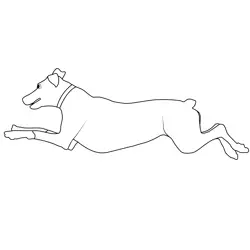 Doberman Dog Diving Into Water Free Coloring Page for Kids