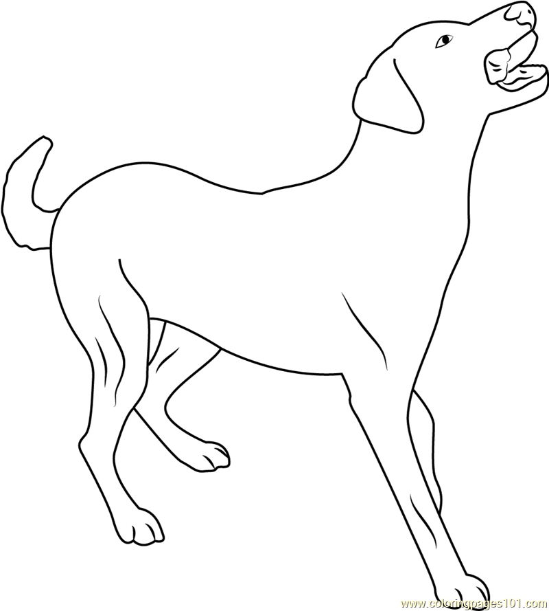 Dog Full Body Pose Coloring Page - Free Dog Coloring Pages