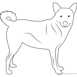 Mural Tsb Sled Dog Running Head Up Coloring Page - Free Dog Coloring