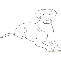 Dog taking Rest Free Coloring Page for Kids