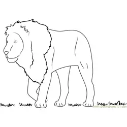 Lion See on Grass Free Coloring Page for Kids