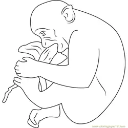 Hungry Monkey Jaipur Free Coloring Page for Kids