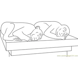 Sleeping Monkeys Free Coloring Page for Kids
