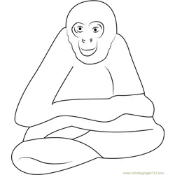 Spider Monkey Free Coloring Page for Kids