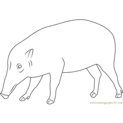 Black Pig Free Coloring Page for Kids