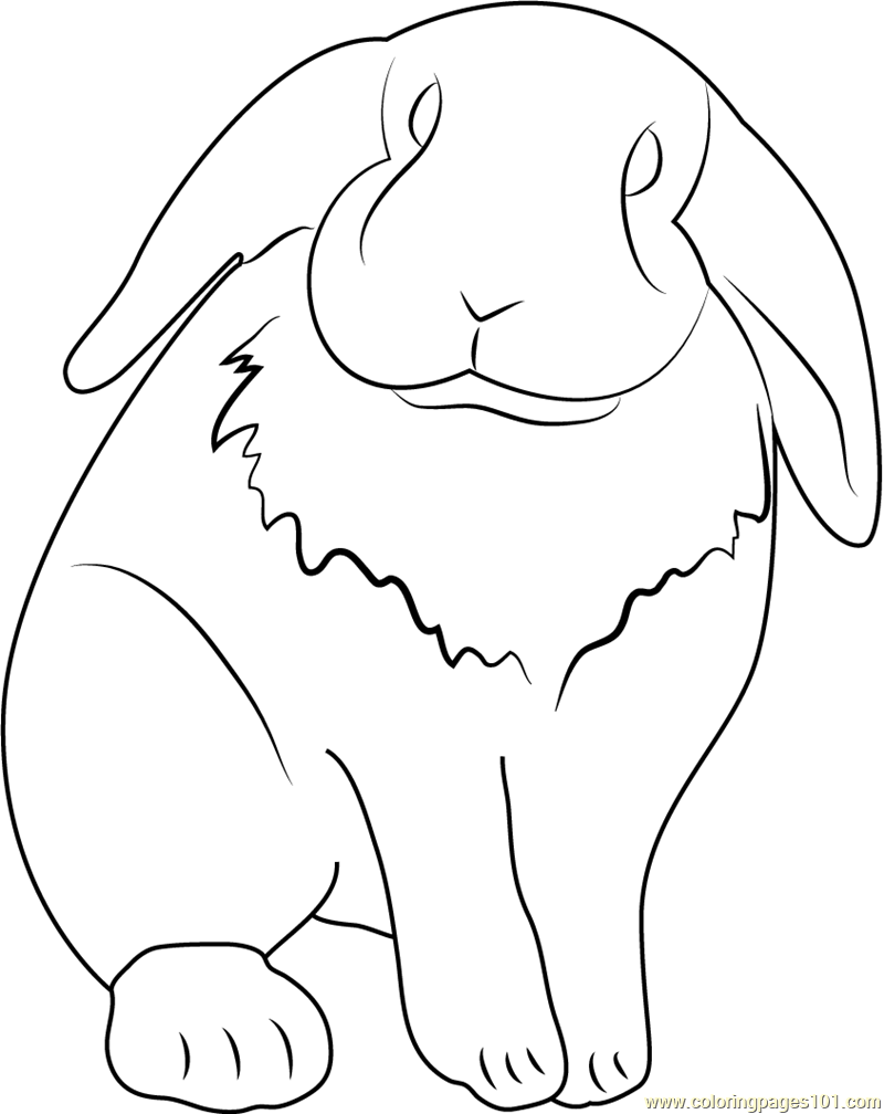 Lop Eared Pet Rabbit Coloring Page Free Rabbit Coloring