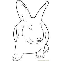 Sad Rabbit