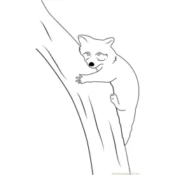 Raccoon Relaxing on Tree Free Coloring Page for Kids