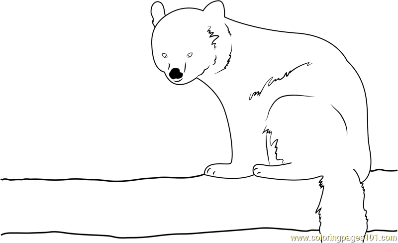 Red Panda Sitting Coloring Page - Free Red Panda Coloring Pages