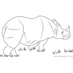 One Horned Rhino Free Coloring Page for Kids