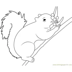 Squirrel Eating Berrys Free Coloring Page for Kids