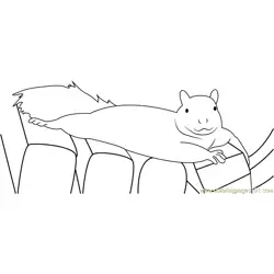 Wild Squirrels Lounge Free Coloring Page for Kids