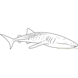 Whale Shark Diver Free Coloring Page for Kids