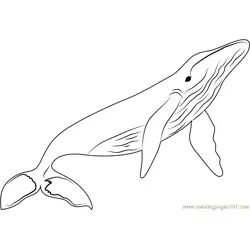Whales Free Coloring Page for Kids